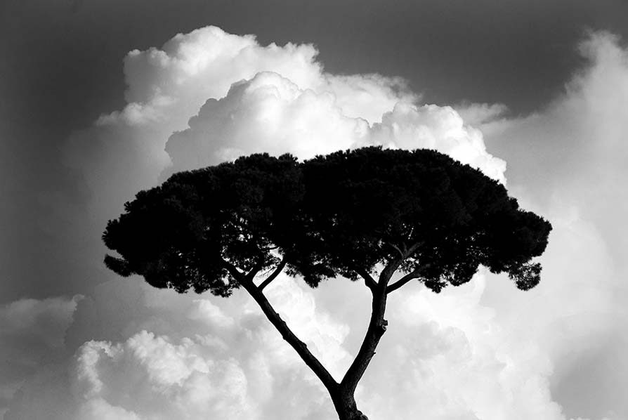 Auf dem Palatin, Rom, Italien 2009.